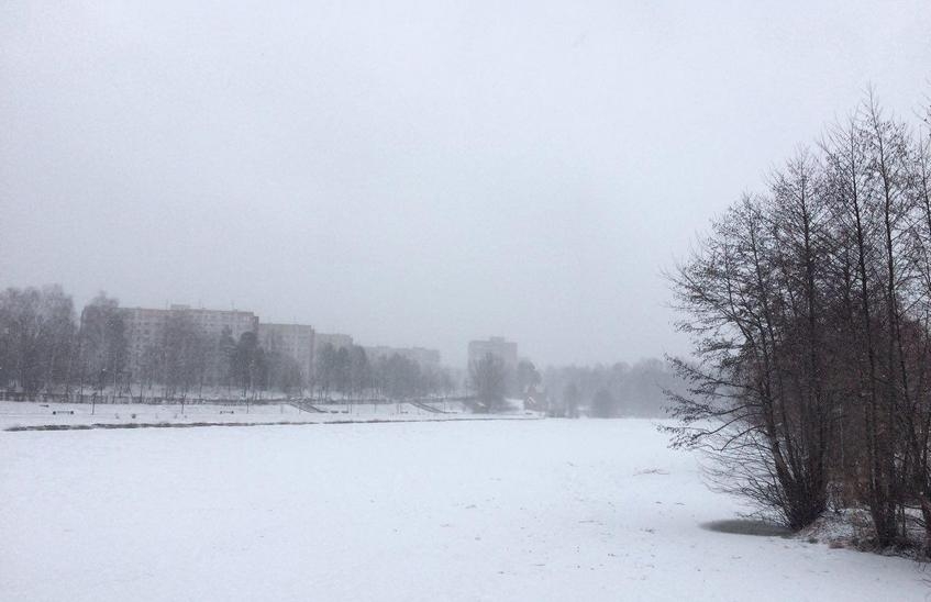 27 марта в Нижегородской области ожидается усиление ветра до 17 м/с
