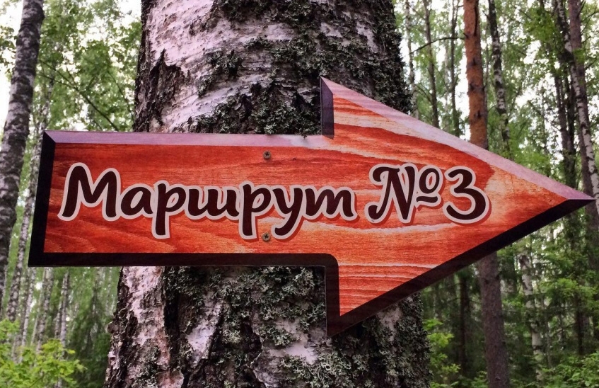 9 июня в Сарове состоится открытие экологических маршрутов