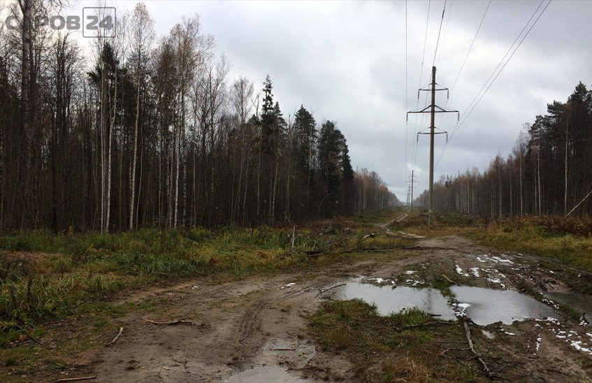 МЧС объявило штормовое предупреждение в Нижегородской области