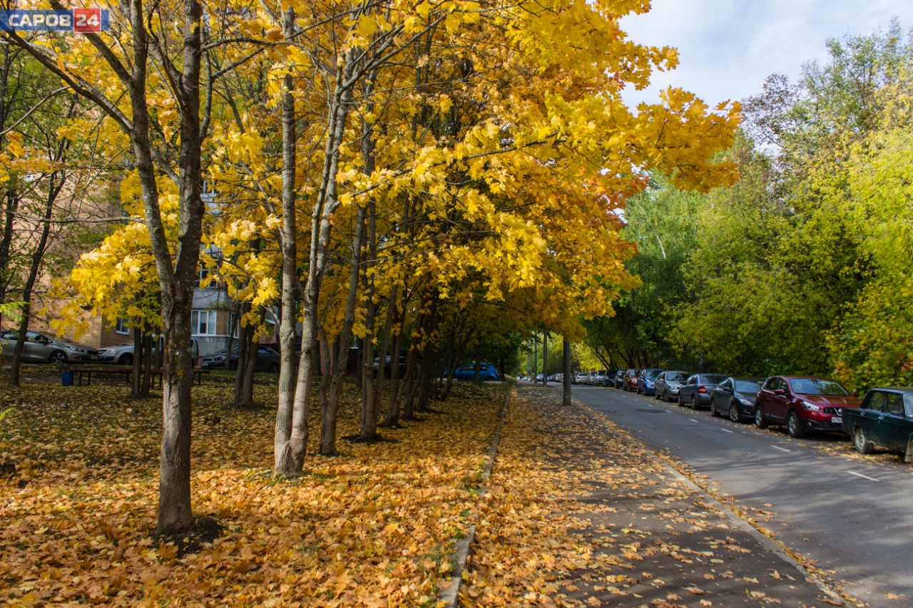 Осень в Сарове