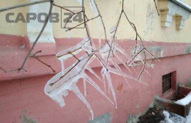 Сильное сложное гололедно-изморозевое отложение ожидается в регионе