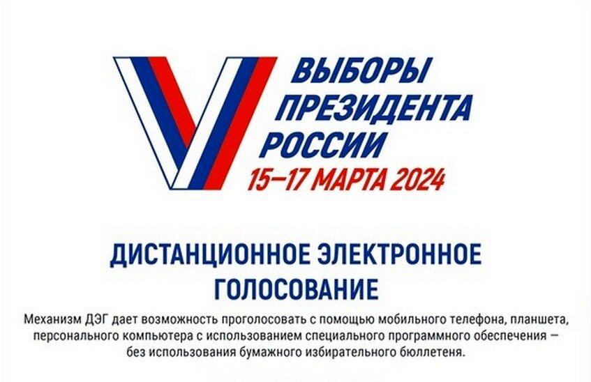 Прием заявлений на дистанционное электронное голосование стартовал в Нижегородской области