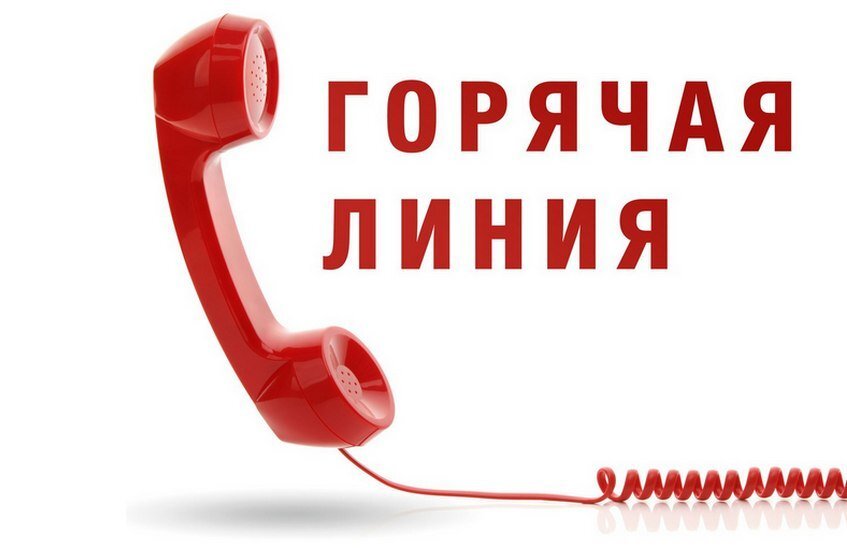 Служба занятости проведет прямые телефонные линии о профобразовании и выплатах по безработице