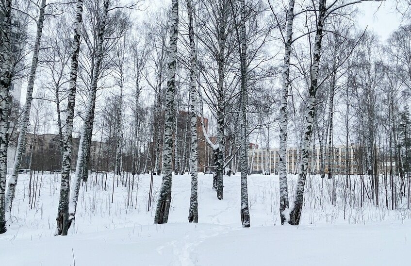 Торговый центр на Березовой не нужен