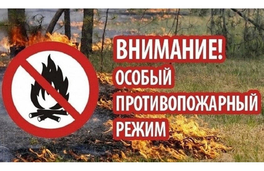 Особый противопожарный режим введен в Нижегородской области (ВИДЕО)