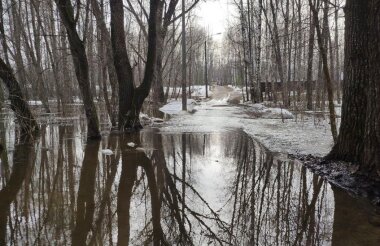 Режим повышенной готовности введен в Сарове