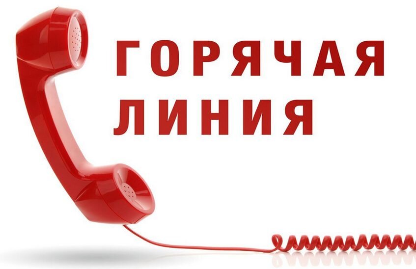 Телефонная линия о временной занятости подростков пройдет в регионе