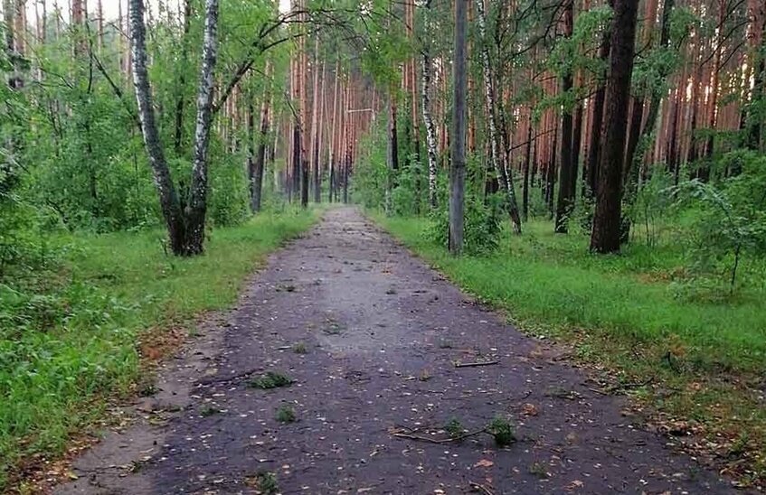 Саровчане могут высказать предложения по благоустройству Тропы здоровья
