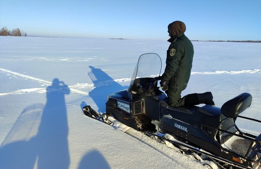 Зимний учет диких животных начался в Нижегородской области