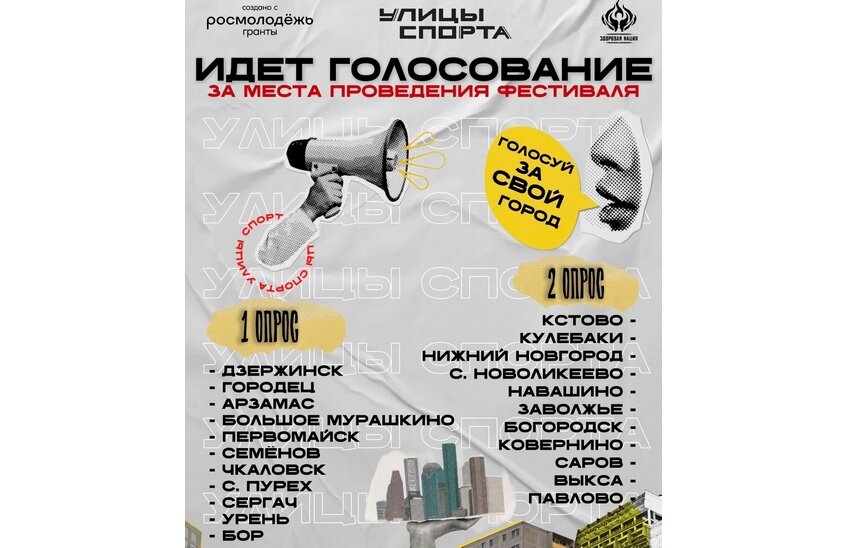 Саров может стать участником проекта «Улицы спорта»