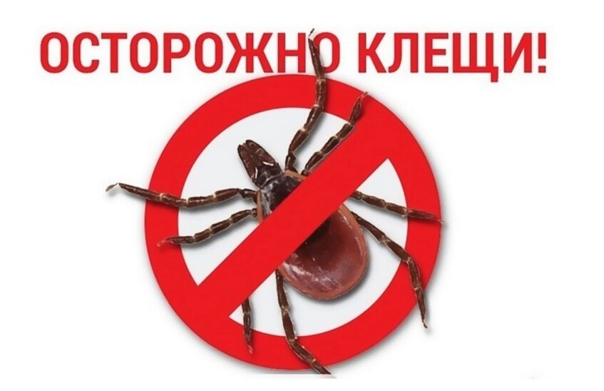 20 саровчан пожаловались за неделю на укусы клещей