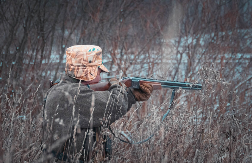 Охотники добыли 60 волков и 215 лисиц в Нижегородской области в 2025 году