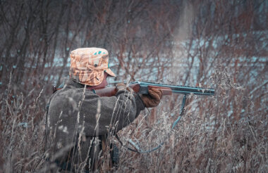 Охотники добыли 60 волков и 215 лисиц в Нижегородской области в 2025 году