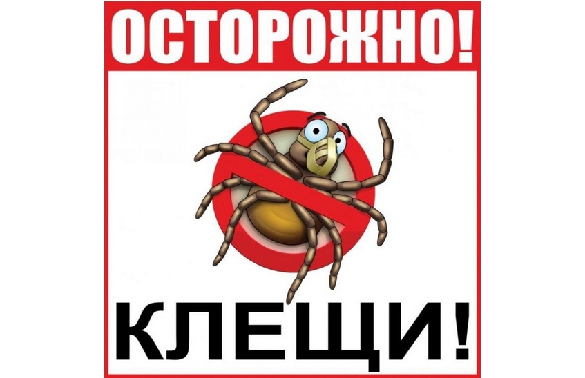 Сезон активности клещей на подходе