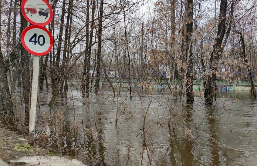 Топ новостей Сарова за неделю