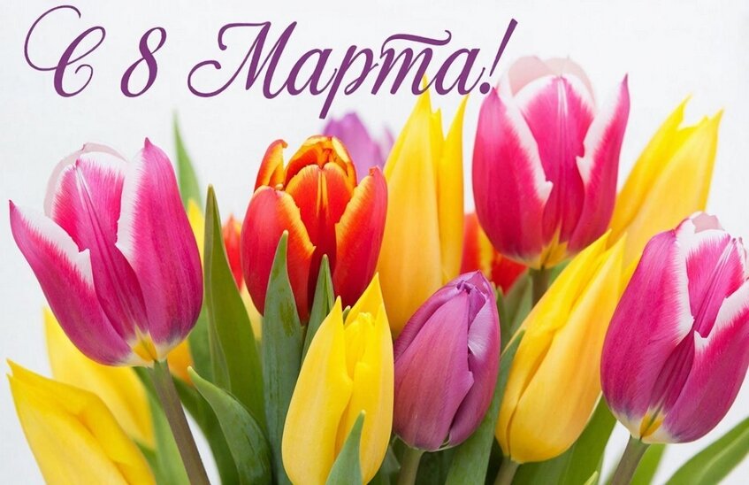 Глеб Никитин: женщины делают нас лучше – сильнее, добрее, счастливее (ВИДЕО)