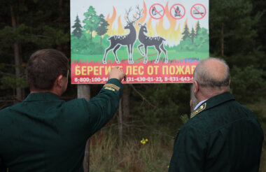 Пожароопасный сезон установлен в лесах Нижегородской области с 24 апреля