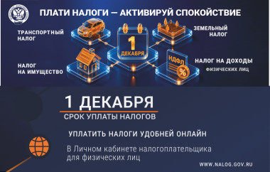 Саровчанам напоминают о необходимости уплаты налогов до 1 декабря